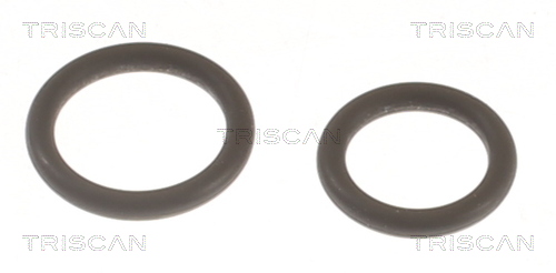 TRISCAN Dichtungssatz, Einspritzdüse
