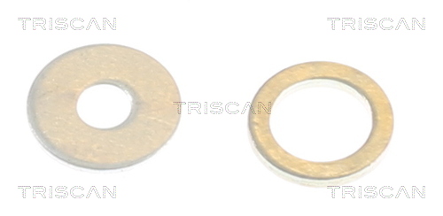 TRISCAN Dichtungssatz, Einspritzdüse