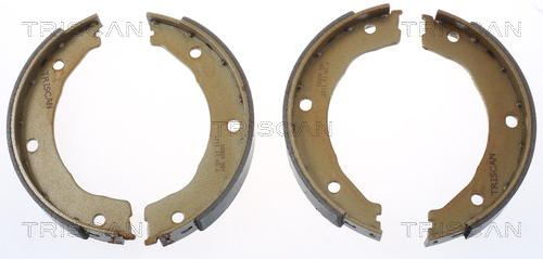 TRISCAN Bremsbackensatz, Feststellbremse