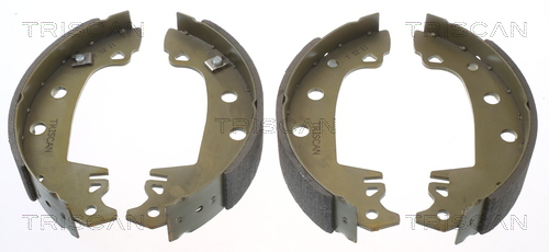 TRISCAN Bremsbackensatz