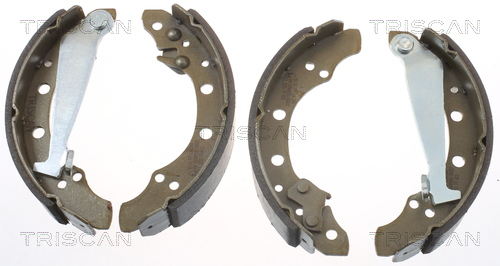 TRISCAN Bremsbackensatz