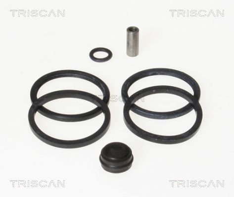 TRISCAN Reparatursatz, Bremssattel