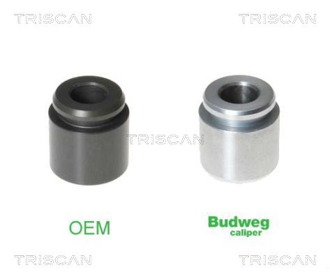 TRISCAN Kolben, Bremssattel