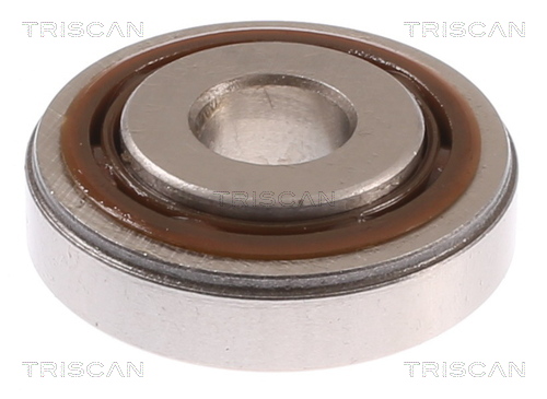 TRISCAN Wälzlager, Federbeinstützlager