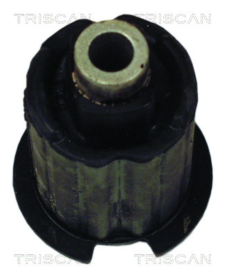 TRISCAN Lagerung, Achskörper