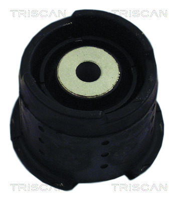 TRISCAN Lagerung, Achskörper