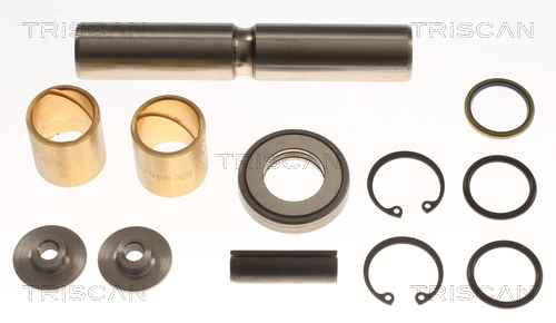 TRISCAN Reparatursatz, Achsschenkelbolzen