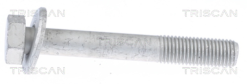 TRISCAN Befestigungsbolzen, Querlenker