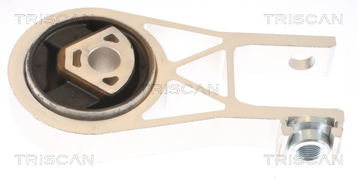 TRISCAN Lagerung, Motor