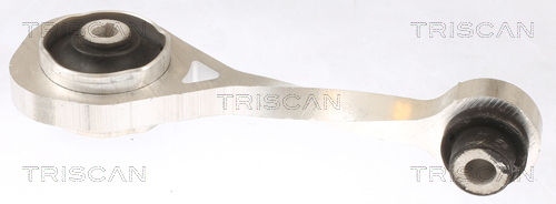 TRISCAN Lagerung, Motor