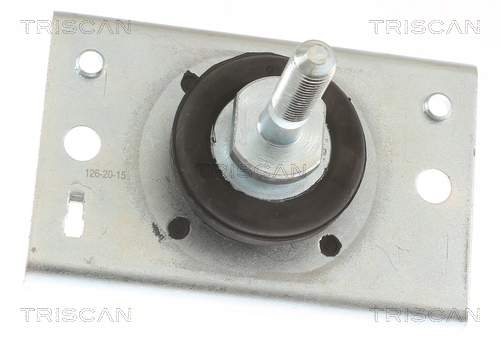 TRISCAN Lagerung, Motor