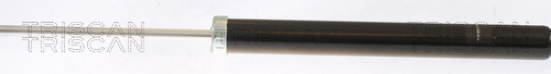 TRISCAN Stoßdämpfer
