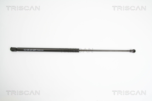 TRISCAN Gasfeder, Koffer-/Laderaum