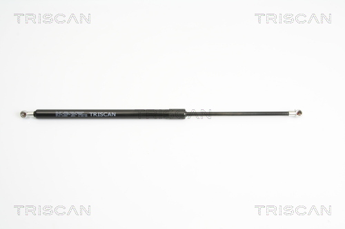 TRISCAN Gasfeder, Koffer-/Laderaum