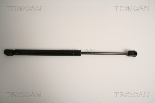 TRISCAN Gasfeder, Heckscheibe