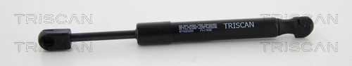 TRISCAN Gasfeder, Heckscheibe