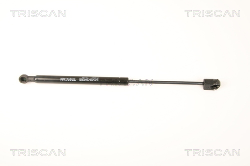 TRISCAN Gasfeder, Heckscheibe