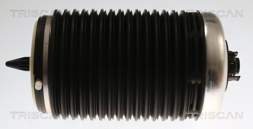 TRISCAN Luftfeder, Fahrwerk