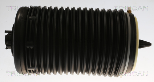 TRISCAN Luftfeder, Fahrwerk