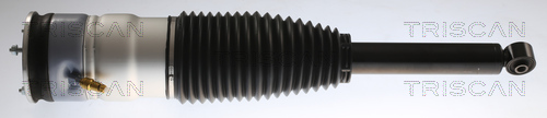 TRISCAN Luftfederbein